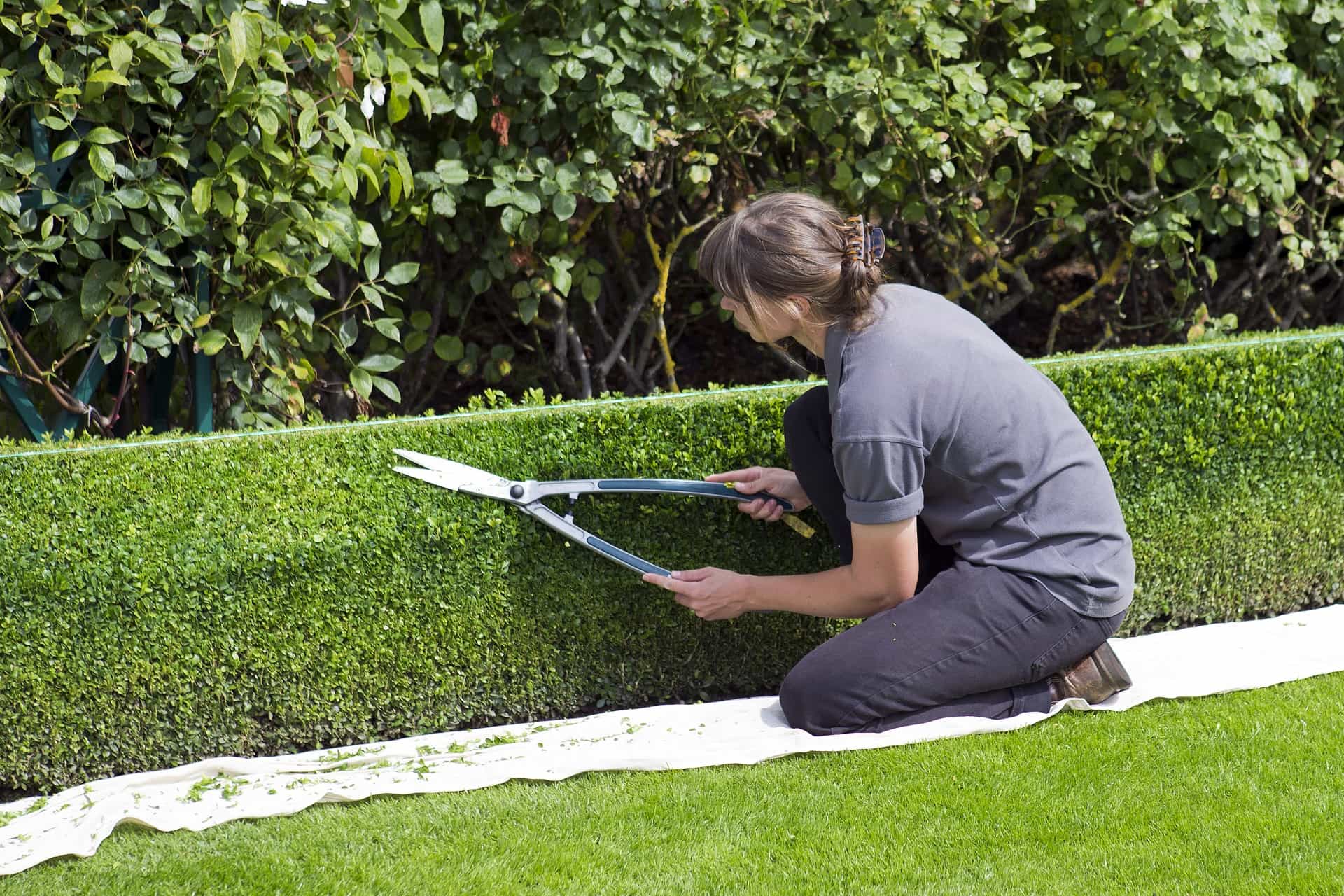 Jardinage et entretien de votre propriété à Porto-Vecchio